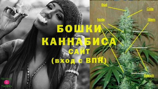 a pvp Краснослободск