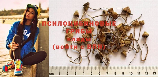 a pvp Краснослободск